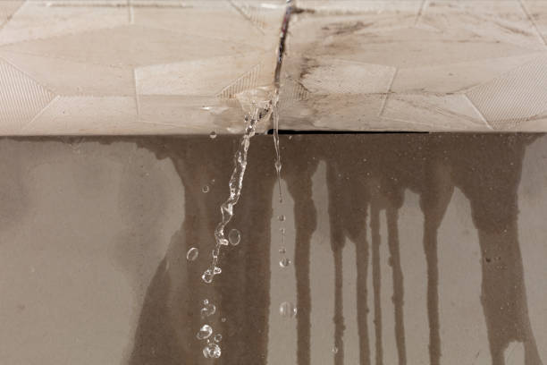 Professional Burst Pipe Cleanup technician working in Bad Axe, MI